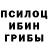 Псилоцибиновые грибы мицелий Anatolii Kostyk