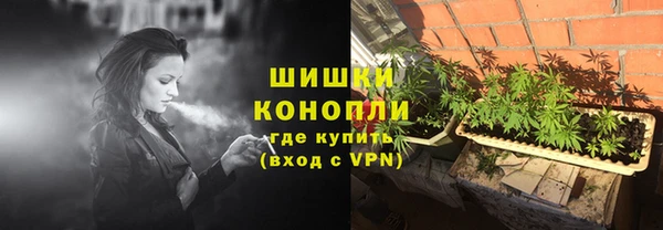 прущие грибы Киренск