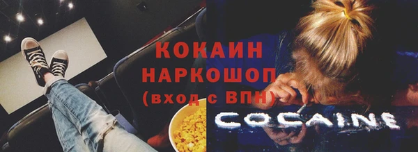 прущие грибы Киренск